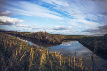 Von Schneeglöckchen, mooren und weidenkätzchen