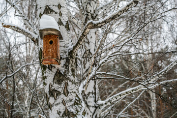Birdhouse for birds under the snow on a birch tree in winter.