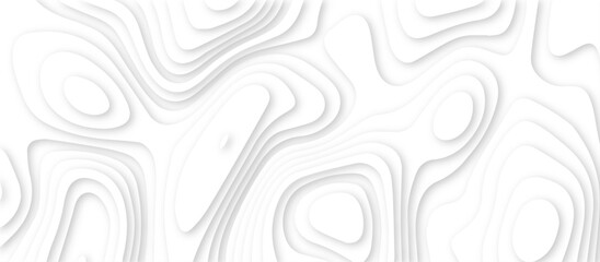 Abstract white background with paper cut out layers .Luxury paper cut background, Abstract decoration .Vector illustration. Material design. Paper cutting texture. Applicable for business banner.