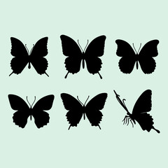 Butterfly black silhouette set. Different types of flying butterfly icons and vector illustration