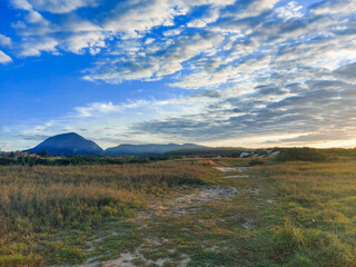 landscape in the morning