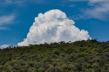 clouds over the forest