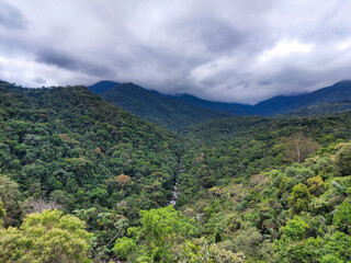 Obraz premium landscape with trees and clouds