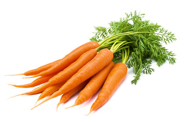Fresh carrots with greens isolated on white