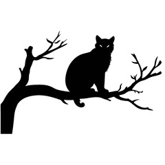 Cat sitting on tree branch silhouette 
