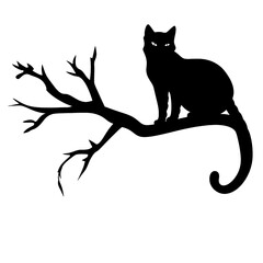 Cat sitting on tree branch