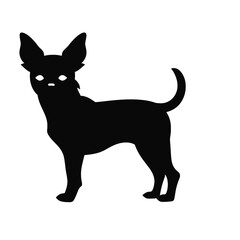 Chihuahua silhouette