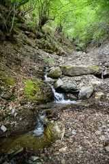 Fototapeta premium Small waterfall in the mountains of the Ukrainian Carpathians