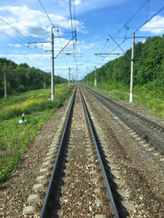 Front view of railway tracks lying next to green forest trees in a sunny summer day. Soft focus. Copy space for your text. Transportation industry theme.