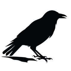 silhouette of a crow
