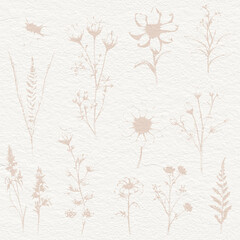 Delicate watercolor meadow flowers, botanical digital paper - 736269734