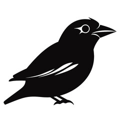 Fototapeta premium Sparrow silhouette icon