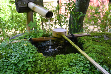 初夏の京都市一乗寺 詩仙堂の苔むした蹲