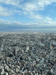 1-chōme-1-2 Oshiage, Sumida City, Tokyo 131-0045, Japan - March 2, 2023: Tokyo from Above, A Skytree Perspective