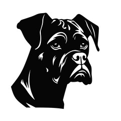 
Boxer Silhouette