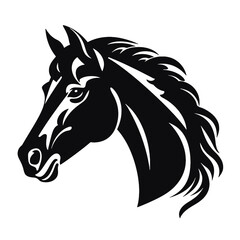 black and white horse