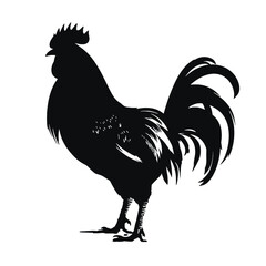 raven Silhouette