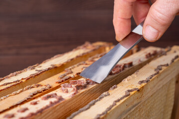 Gathering bee glue of wooden frames with metal instrument. Natural propolis on bee honeycomb wooden frames of hives