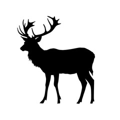 deer Silhouette
