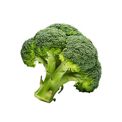 PNG Image of Isolated Fresh Broccoli
