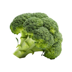 Fresh Broccoli in Transparent Format