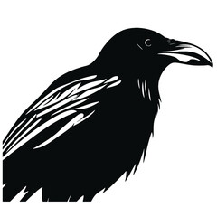 
raven Silhouette
