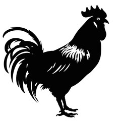 rooster Silhouette