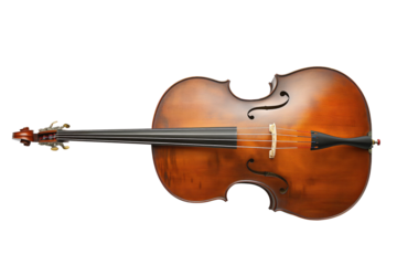 Cassic double bass isolated on white