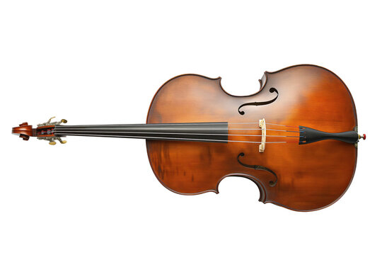 Cassic double bass isolated on white