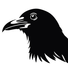 raven Silhouette