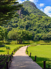 Fototapeta na wymiar Pathway passes through lush grassy fields amidst a beautiful tranquil nature with the mountains in background. Beautiful view of nature with green grass, lush trees, mountain and sky. Green Landscape.