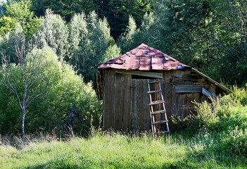Old abandoned barn with a tin roof and a ladder on the edge of the forest in summer time.