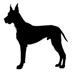 
Great dane silhouette