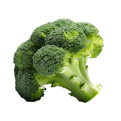 PNG Image featuring Fresh Broccoli Isolation