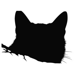cat Silhouette