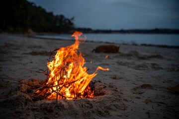 fire on the sand in australia. campfire on a beach in summer