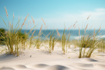 close up of a beach near some grass and sand, minimalist
