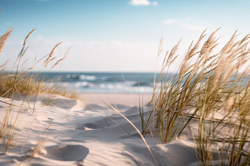 close up of a beach near some grass and sand, minimalist