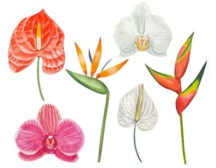 Watercolor set of bright tropical flowers.
