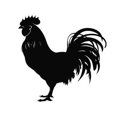 
rooster Silhouette
