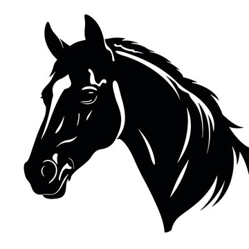 Horse head silhouette 