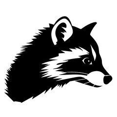 raccoon head 