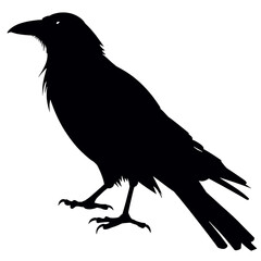 raven Silhouette