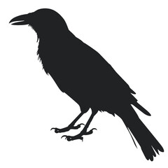 raven Silhouette