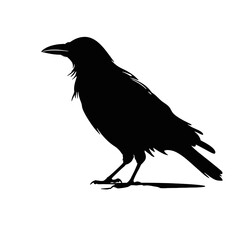 raven Silhouette