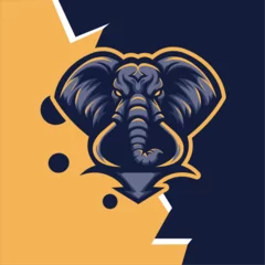 Foto op Aluminium elephant mascot logo esport, design vector with modern illustration concept style for badge, very suitable for emblems, squad logos, team emblems, and elephant zoo emblems © rfxii_ofiicial