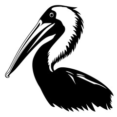 pelican isolated on white