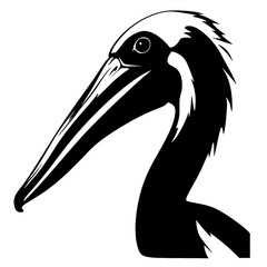 illustration of a pelican