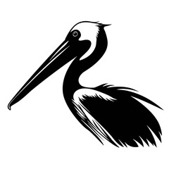 pelican on white background