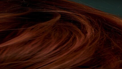 Slow motion long shiny brown hair tossed in the air